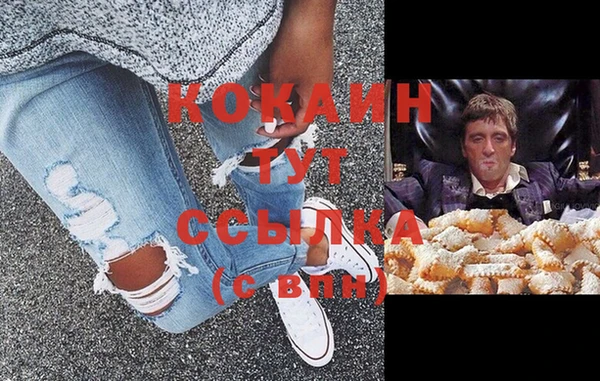 индика Горно-Алтайск