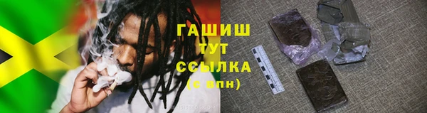 индика Горно-Алтайск