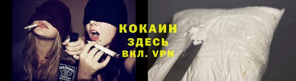 индика Горно-Алтайск