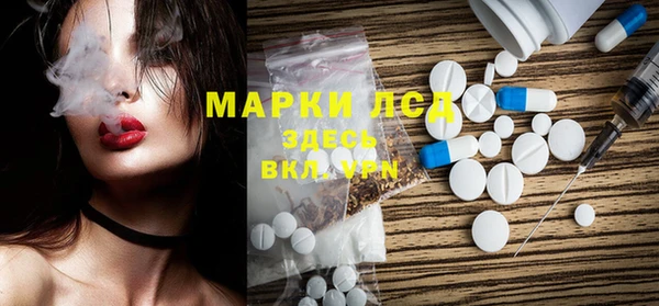 индика Горно-Алтайск