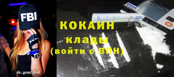 индика Горно-Алтайск