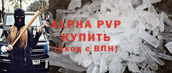 индика Горно-Алтайск
