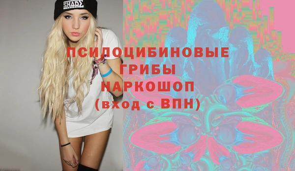 индика Горно-Алтайск
