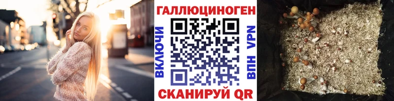 Галлюциногенные грибы GOLDEN TEACHER Ильский