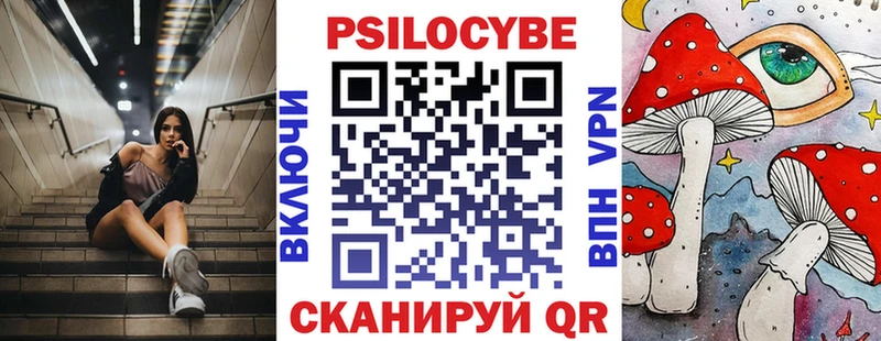 MEGA ТОР Ильский Галлюциногенные грибы Cubensis